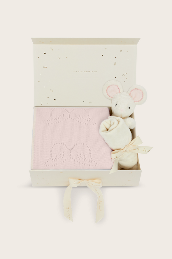 Pink Angel Wing Cashmere Blanket Gift Set