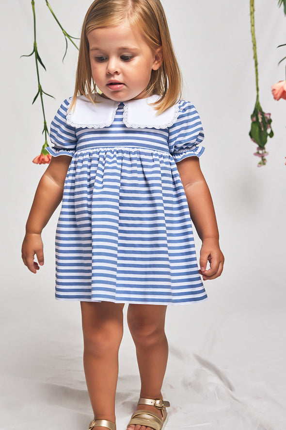 Blue Striped Embroidered Collar Dress